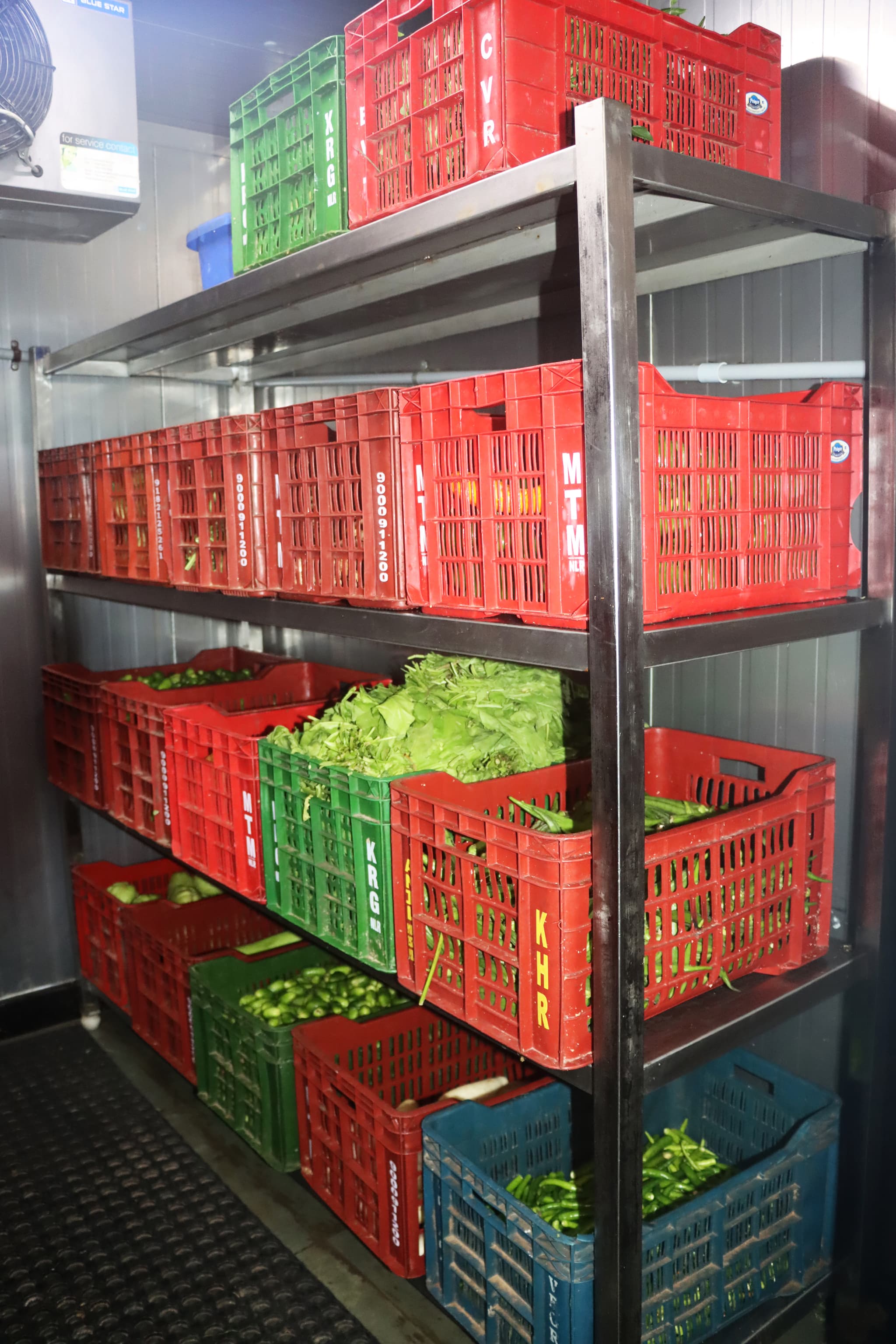 Organized refrigerated vegetable storage